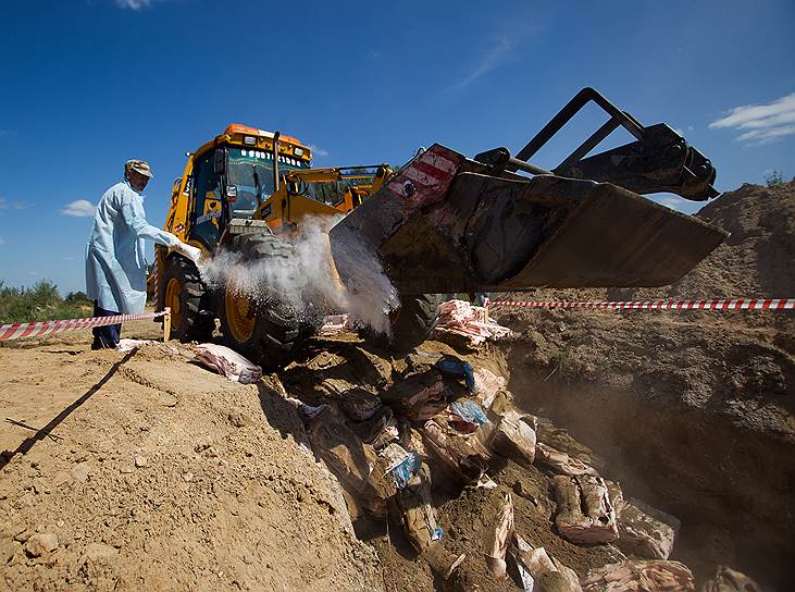 Уничтожение санкционных продуктов на полигоне под Багратионовском. Свиное сало, изъятое на российско-польской границе
