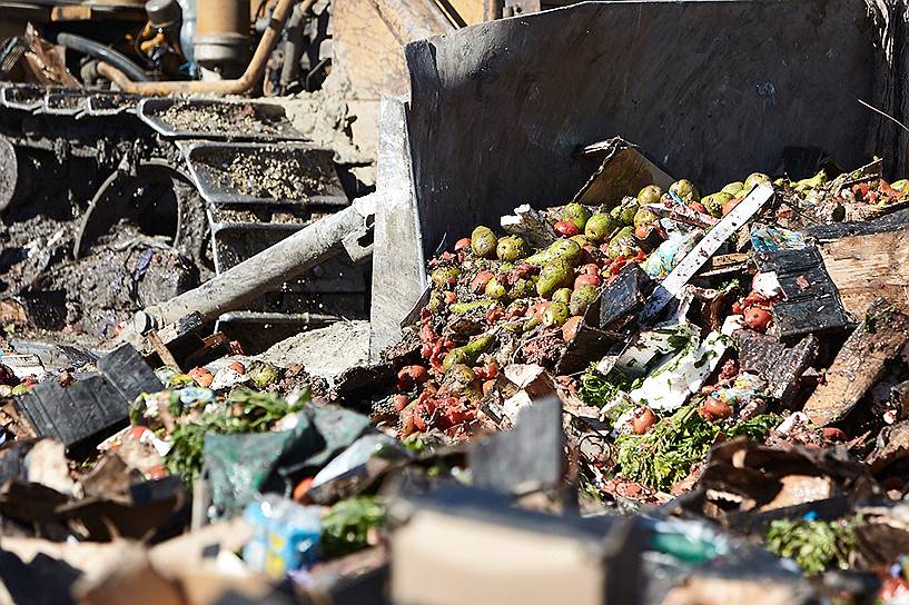 Уничтожение 7 тонн санкционных продуктов, изъятых на российско-польской границе в Калининградской области