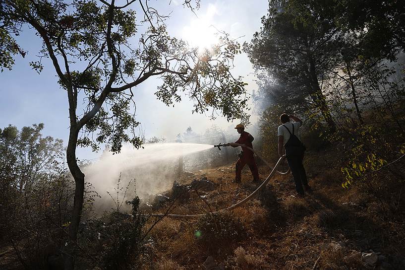 Чаплина, Босния и Герцеговина. Волонтеры и пожарные борются с распространением лесного пожара