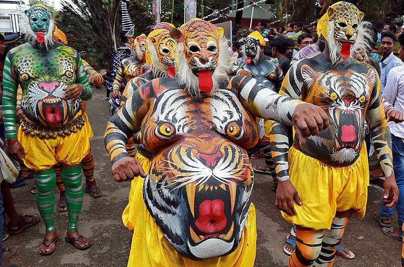 Коччи, Индия. Жители в костюмах тигров встречают начало сбора урожая на празднике Онам