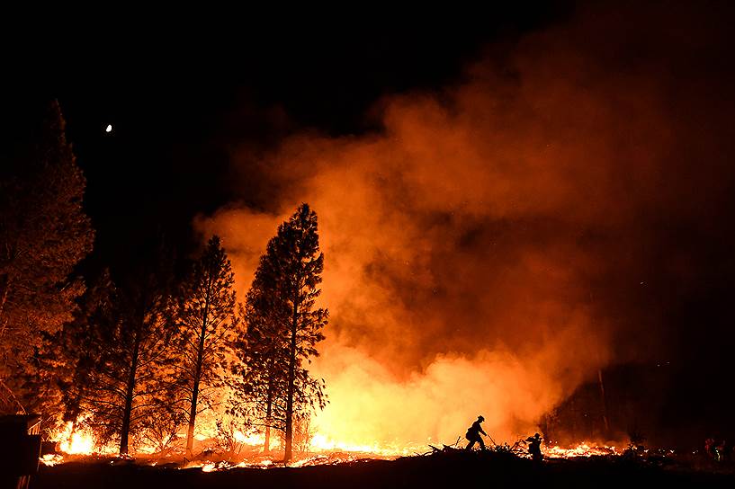 Оровилл, США. Пожарный тушит сосновый лес в Калифорнии