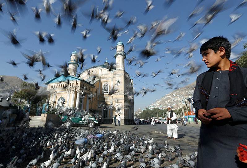 Кабул, Афганистан. Голуби на площади около мечети