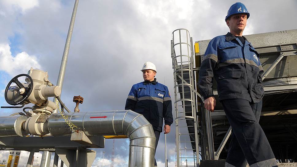 Как экологи пытаются помешать прокладке Nord Stream 2 через Кургальский заказник
