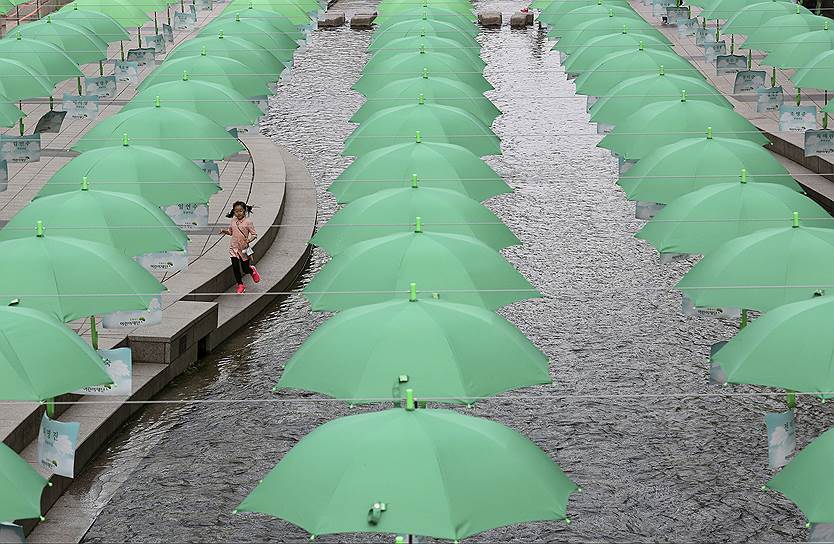 Сеул, Южная Корея. Зонты выставлены во время кампании по сбору пожертвований для детей из неблагополучных семей