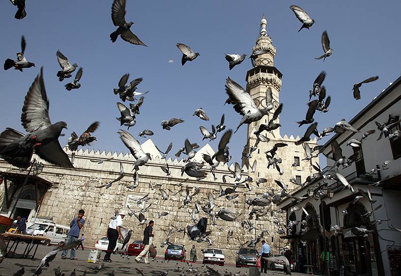 Мечеть Омейядов в Дамаске, 2008 год