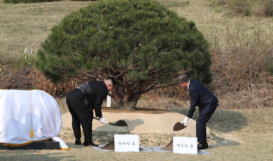 Лидер КНДР Ким Чен Ын (слева) и президент Южной Кореи Мун Чжэ Ин сажают дерево на границе двух стран в апреле 2018 года 
