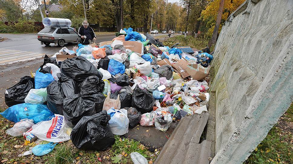 Общественники представили итоги акции по отслеживанию отходов