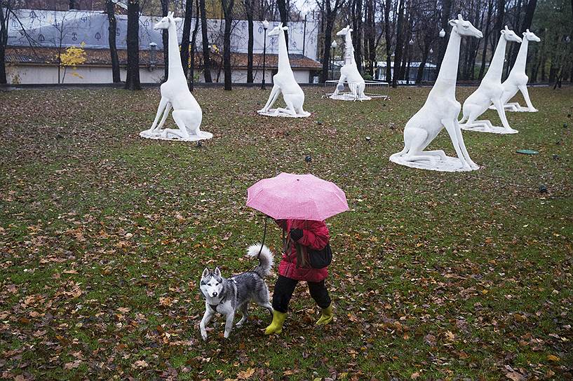 Москва. Женщина выгуливает собаку в парке