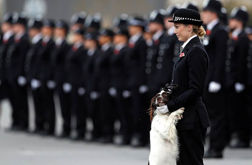 Лондон, Великобритания. Офицер полиции и служебная  собака участвуют в параде 
