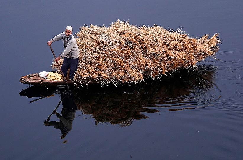 Озеро Нигин, Индия. Местный житель перевозит солому на лодке