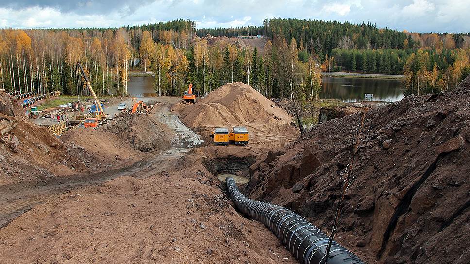 Как в Минприроды минимизировать воздействие газопровода Nord Stream 2 на экологию