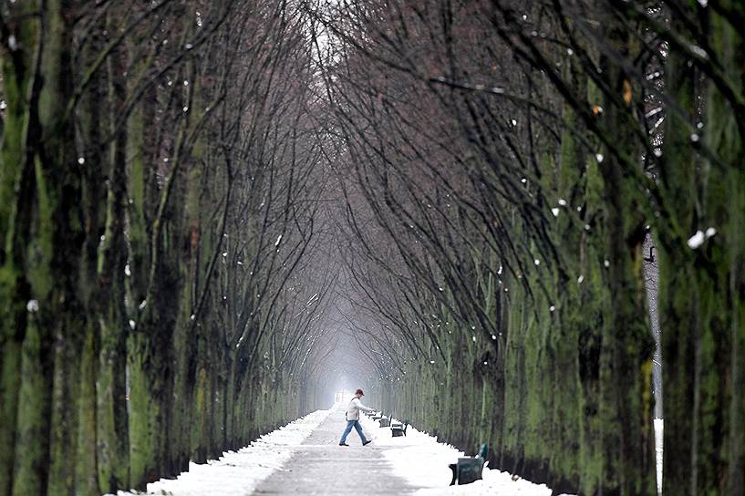 Ганновер, Германия. Мужчина гуляет в парке
