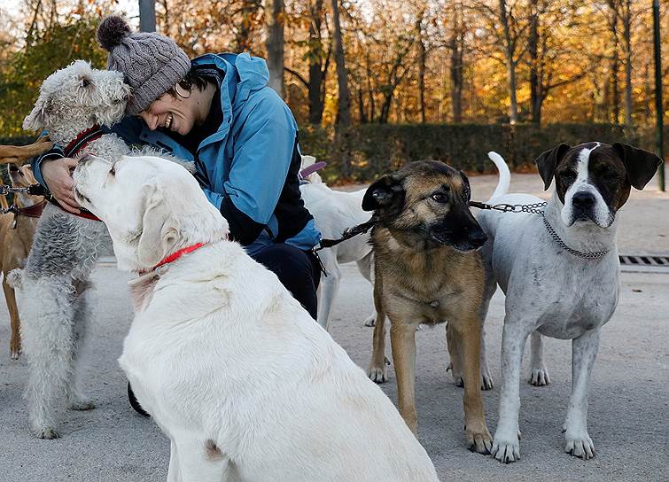 Мадрид, Испания. Женщина гуляет с собаками в парке