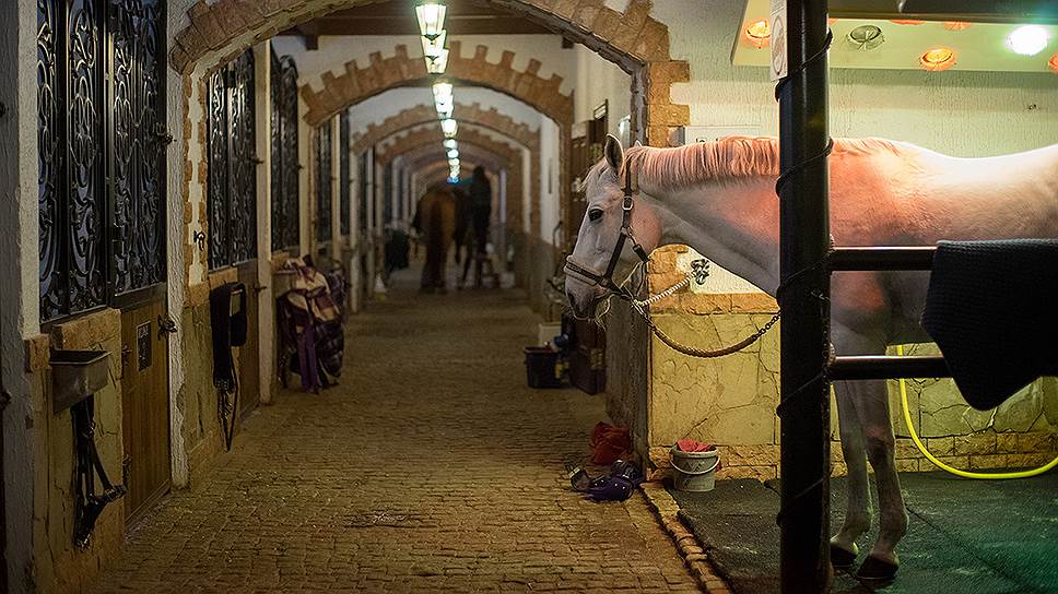 Постой лошади в конюшнях &quot;Продара&quot;, отделанных в викторианском стиле, стоит 65 тыс. рублей в месяц