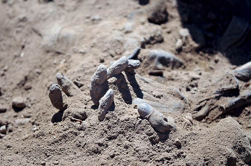 Братская могила в Тикрите, на севере Ирака, где обнаружены останки 1700 военных