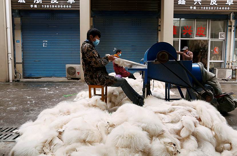 Чонгфу, Китай. Обработка лисьего меха на рынке