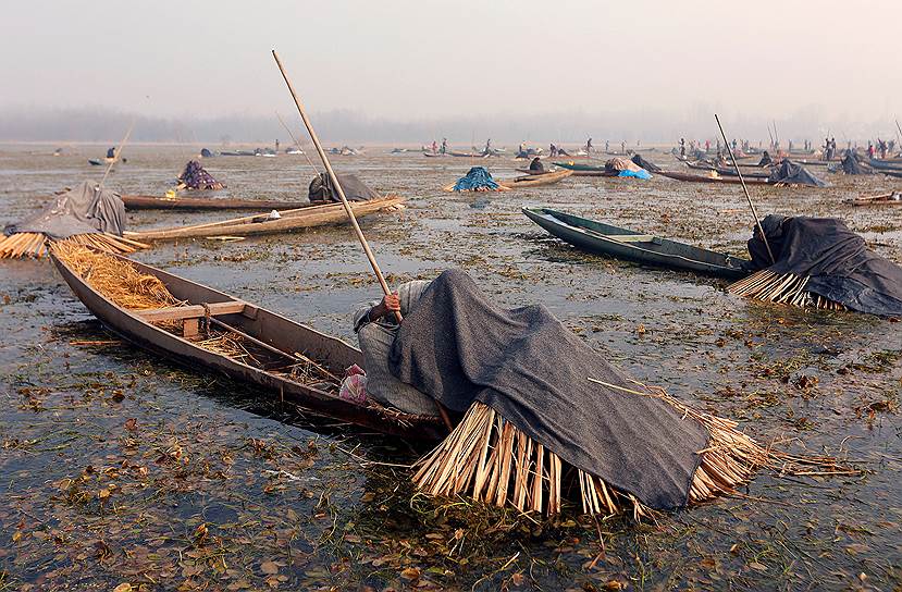 Сринагар, Индия. Рыбаки во время ловли рыбы на озере 