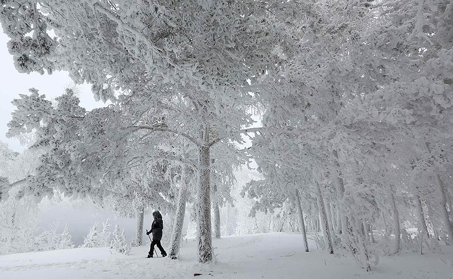 Красноярск, Россия. Женщина гуляет по лесу около Енисея при температуре около -32 градусов