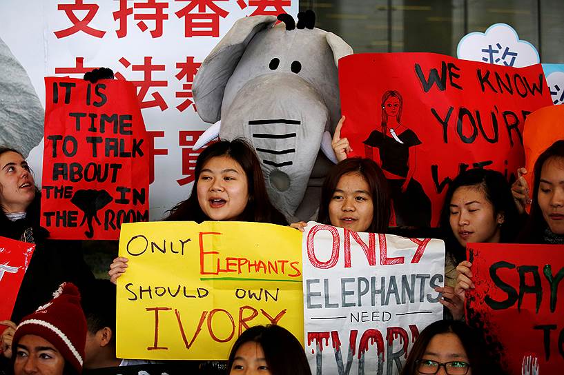 Гонконг, Китай. Акция в поддержку запрета на добычу слоновой кости