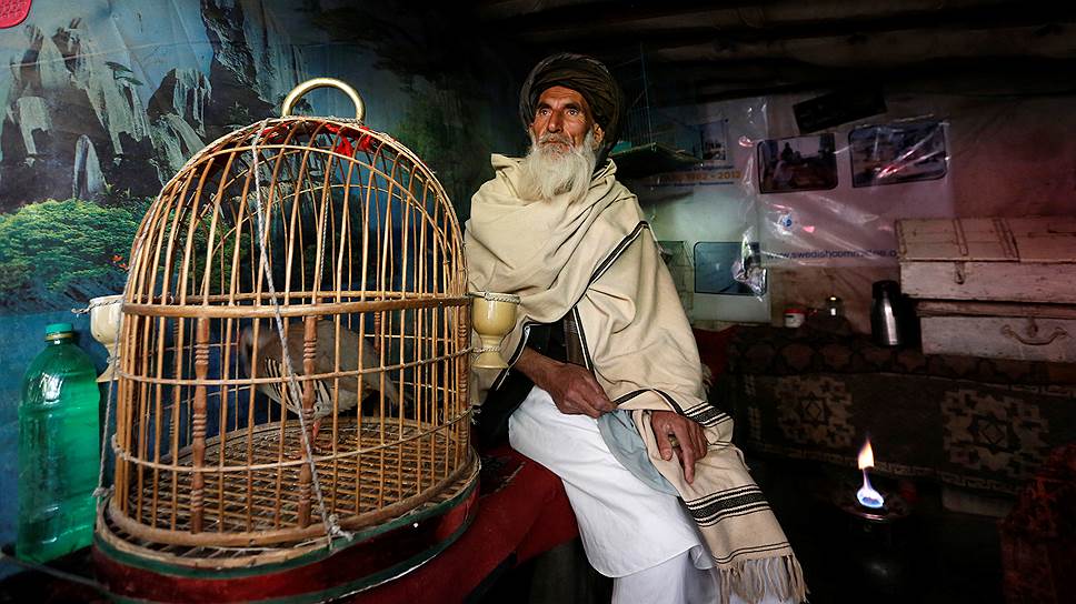 Кабул, Афганистан. Мужчина сидит у клетки с куропаткой на птичьем рынке