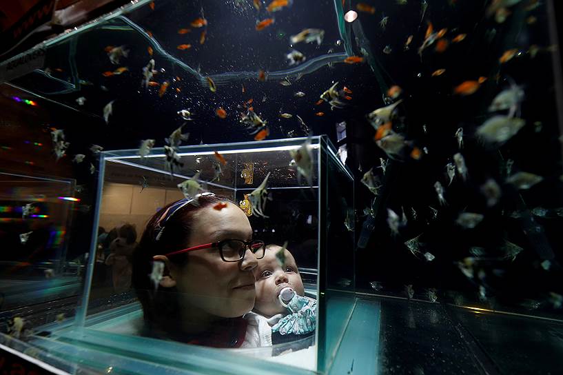 Лиссабон, Португалия. Посетители выставки наблюдают за рыбами в аквариуме