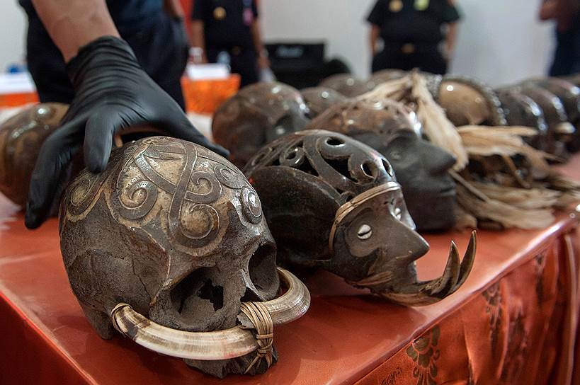 Денпасар, Индонезия. Таможенники демонстрируют контрабандные человеческие черепа на пресс-конференции 