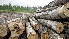 Экологический рейтинг ушел в леса