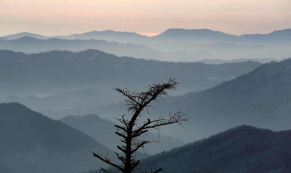 Ёнпхён, Республика Корея. Силуэт дерева в горах 