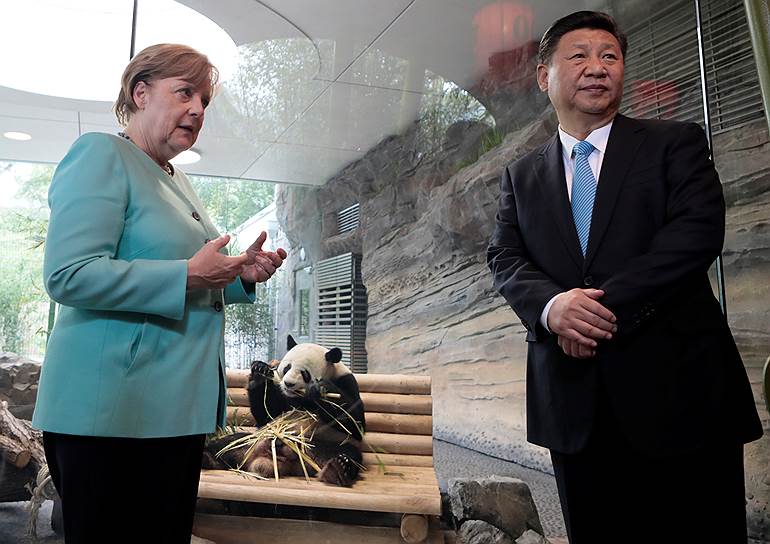 Июль 2017 года. Госпожа Меркель и генеральный секретарь Компартии Китая Си Цзиньпин во время церемонии встречи китайских панд Мэн Мэн и Цзяо Цин в Берлинском зоопарке