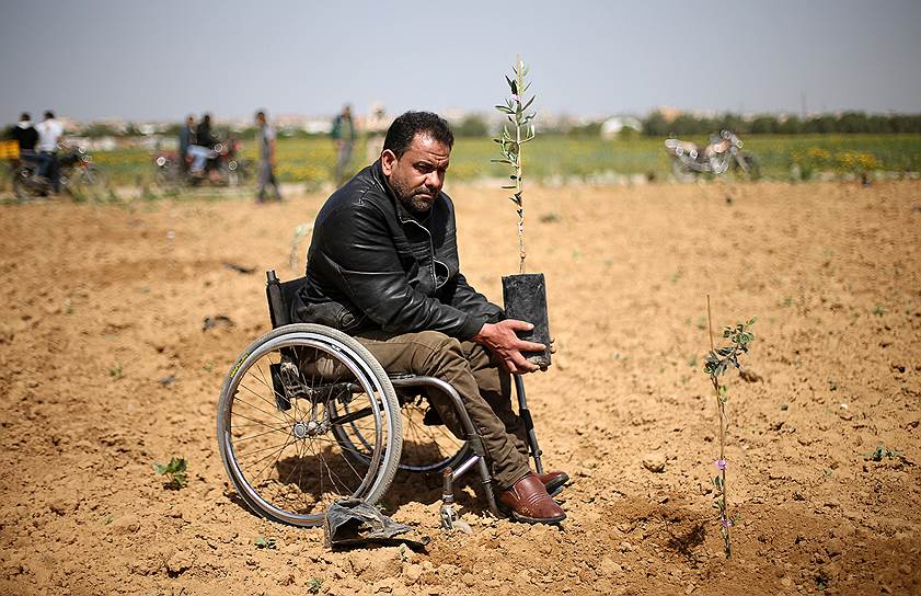 Сектор Газа. Палестинец держит черенок оливкового дерева в День защиты земли, который отмечается в память о подавлении демонстрации 30 марта 1976 года 