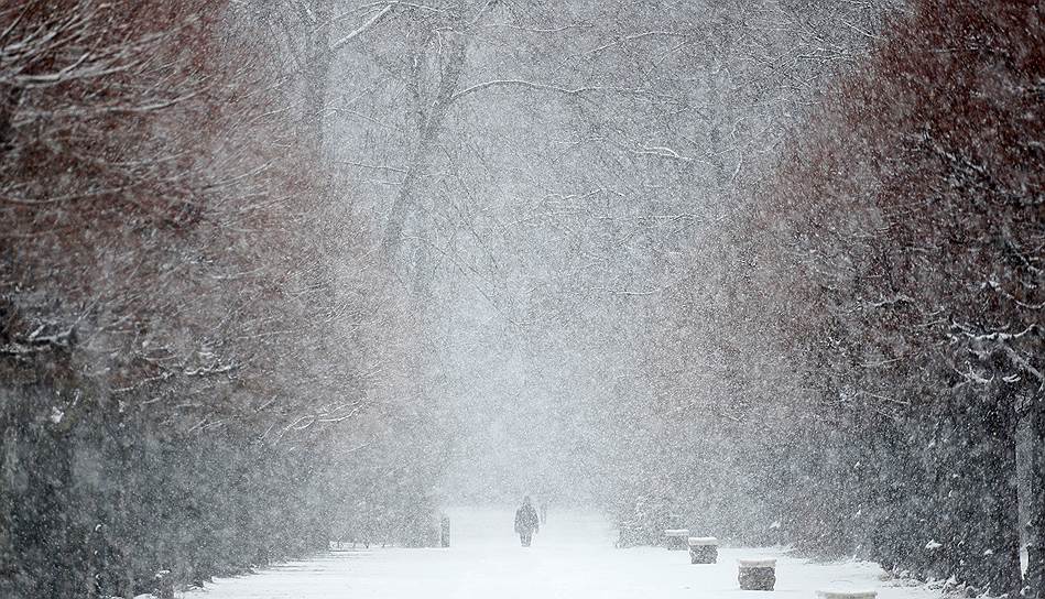 Берлин, Германия. Местный житель гуляет по территории дворца Шарлоттенбург во время снегопада