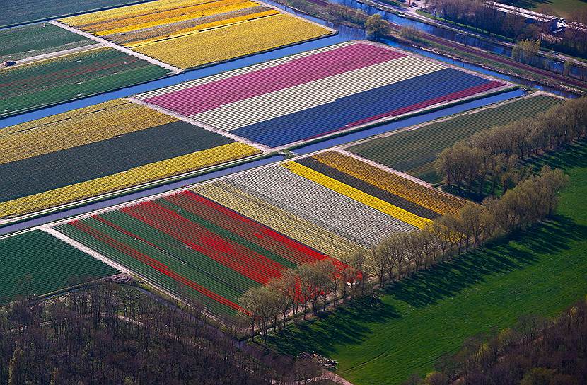 Лиссе, Нидерланды. Вид на цветочный парк Кёкенхоф, знаменитый тюльпанами