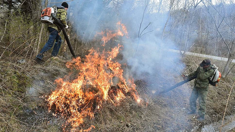 Как распространяются природные пожары по России