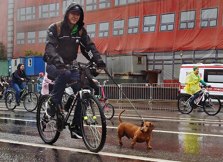 Некоторые участники велопарада взяли с собой домашних животных