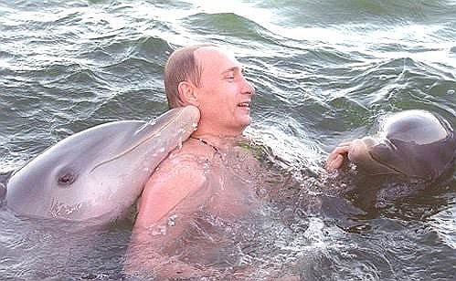 16 декабря 2000 года после завершения протокольной  части визита на Кубу Владимир Путин посетил курорт Варадеро на острове Кайо-Бланко, где поплавал с дельфинами и впервые появился на публике с голым торсом