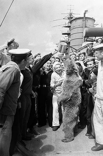 После запрещения вождения медведей было убито много ученых зверей, но любовь к медвежьей забаве продолжала жить в народе и в царские, и в советские времена

