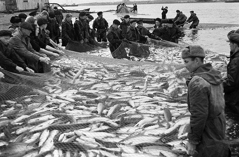 «Камчатская рыбная промышленность является &quot;валютным цехом страны&quot;, давая основную массу своей продукции на экспорт»
