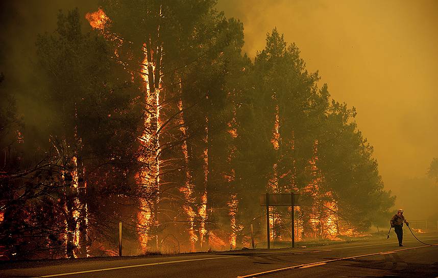 Клирлейк Окс, штат Калифорния, США. Пожарный тушит лес около хайвея