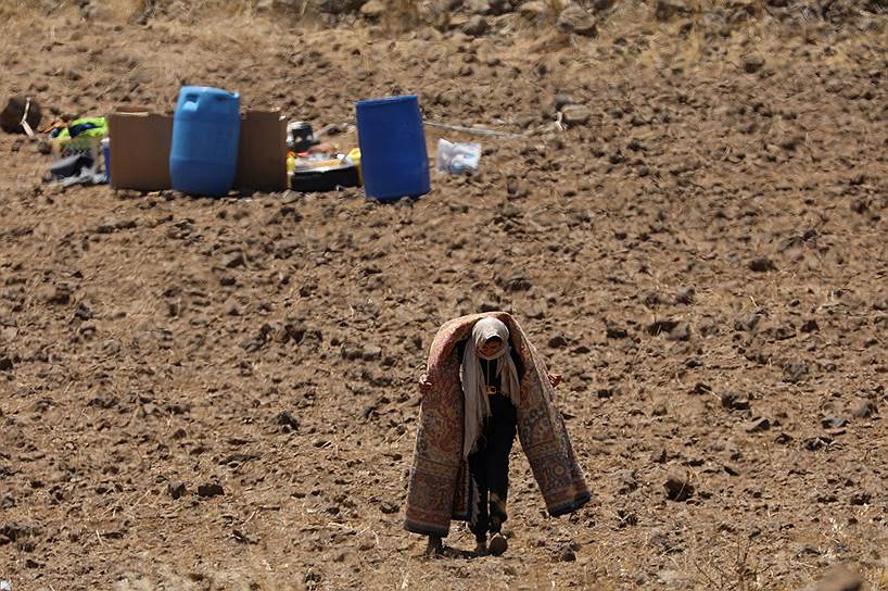 Эль-Кунейтра, Сирия. Женщина несет на плечах ковер близ Голанских высот
