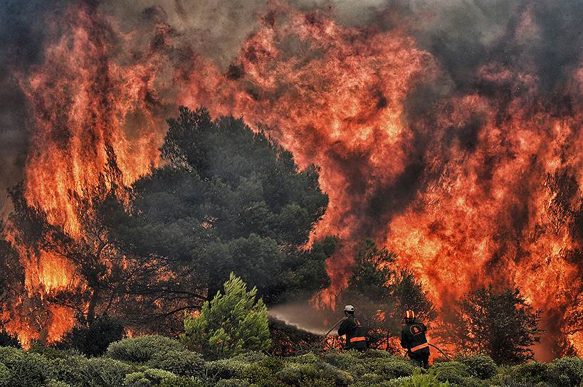 В Греции лесные пожары поставили мрачный рекорд по числу жертв