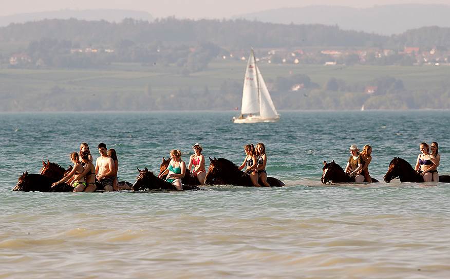 Всадники и их лошади спасаются от жары в Боденском озере (Швейцария) 