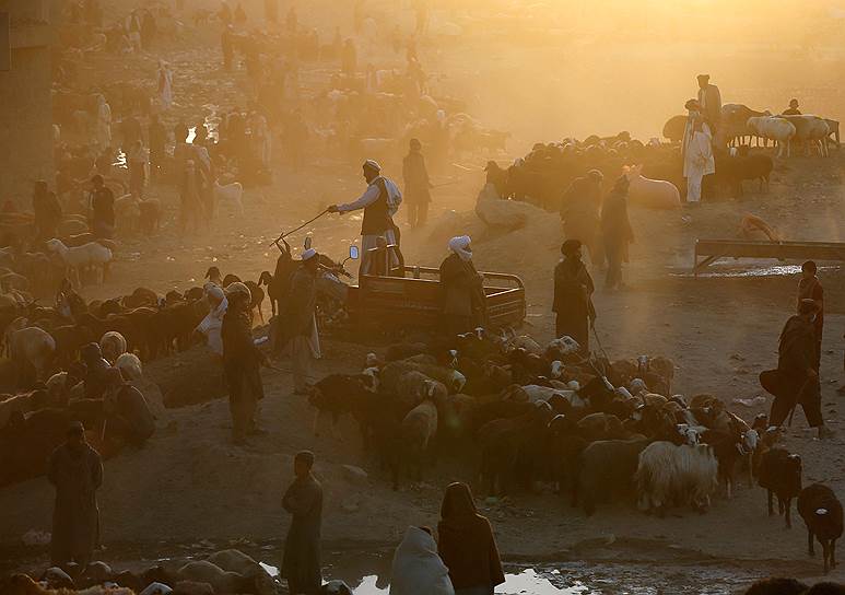 Кабул, Афганистан. Торговцы рынка в ожидании покупателей в преддверие Курбан-байрама