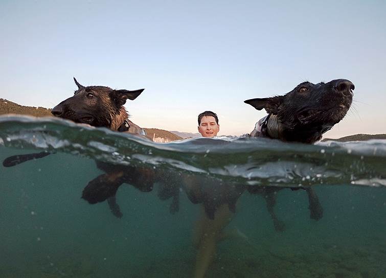 Банджол, Хорватия. Собачий заплыв Underdog-2018