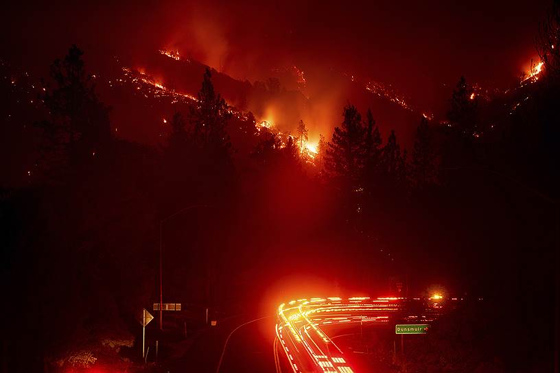 Калифорния, США. Пожар в национальном лесу Шаста-Тринити