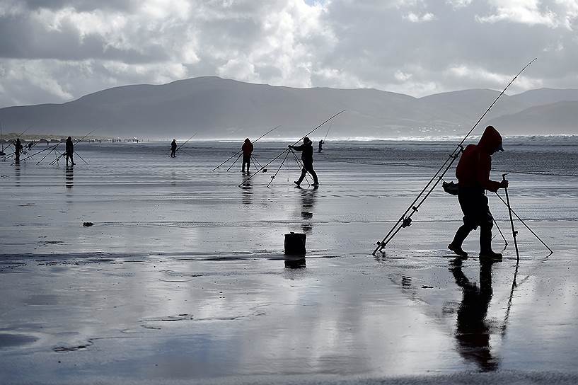 Инч, Ирландия. Участники ежегодных соревнований по рыбной ловле на побережье полуострова Дингл 