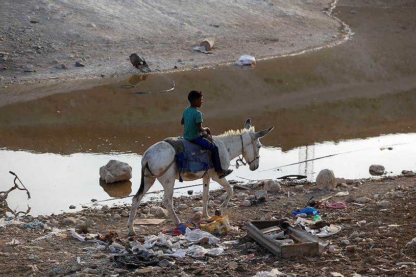 Хан аль-Ахмар, Палестина. Мальчик едет на осле по загрязненному берегу