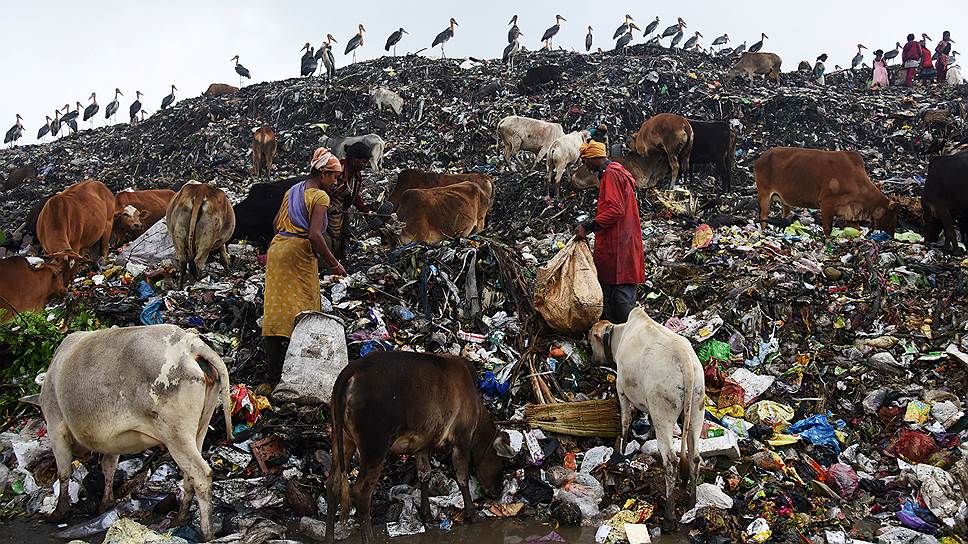 Примеры переработки мусора в разных странах