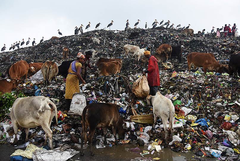 В развивающихся странах материалы, которые можно подвергнуть рециклингу, пользуются большим спросом у местных жителей