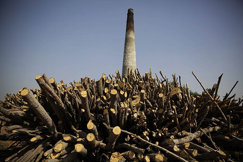 Махтура, Индия. Дрова укладываются в закрытую кирпичную печь. Экология региона страдает из-за загрязнения воздуха, вызванного пылью, сжиганием сельскохозяйственных культур, выбросами с заводов, сжиганием угля и мусора