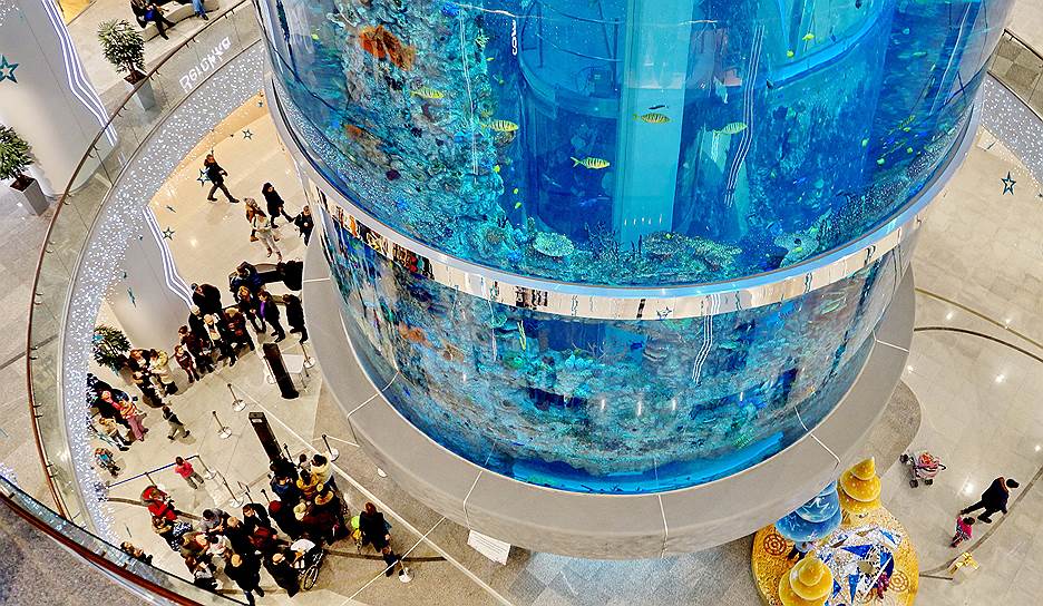 Татьяна Кузнецова, заместитель председателя правления ПАО «Новатэк». Состояние: $450 млн. Капитал: «Новатэк» (0,19%), средства от продажи акций «Новатэка»